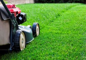 Image of push lawn mower.